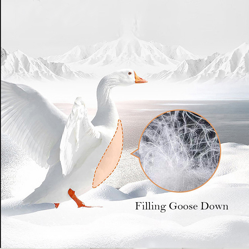 Liv-Esthete White 100% Goose D - Duvet Insert White recension och pris
