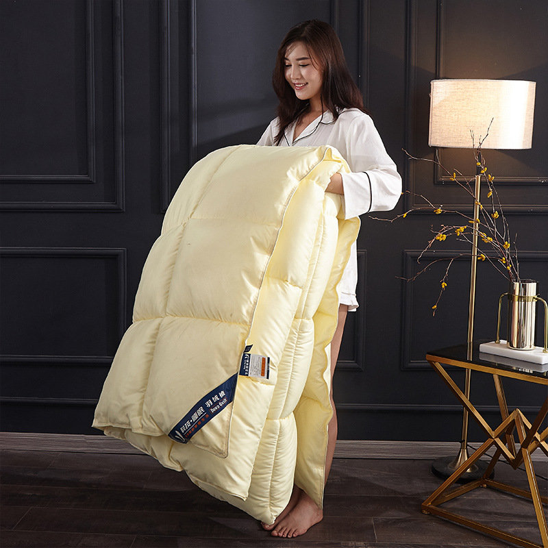 White Goose Down Duvet Winter  - Duvet Insert White recension och pris